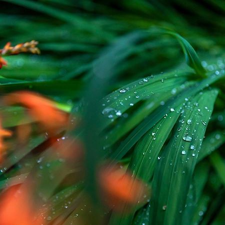 Yufuin Yufusaryo Ngoại thất bức ảnh